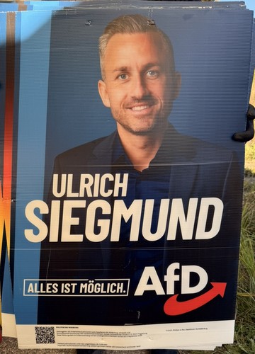 Original afd politik - original,
